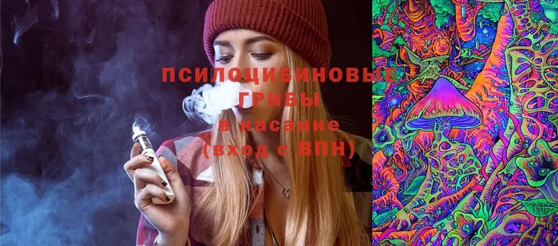 блэк спрут   Покровск  Галлюциногенные грибы Psilocybine cubensis 